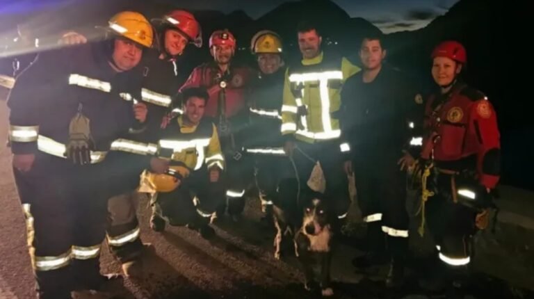 Más de 2 horas de demora en la Ruta 40 por el rescate de un perro