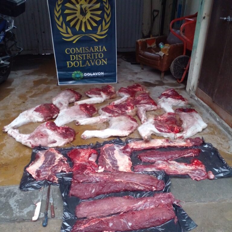 Llevaban 21 piezas de carne de guanaco y fueron demorados