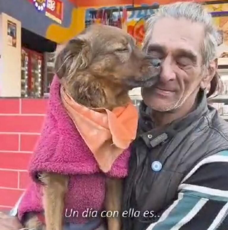 Un hombre confesó que dejó las drogas gracias a su perra