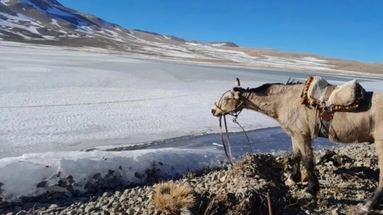 La ola de frío polar congeló varias lagunas de Neuquén