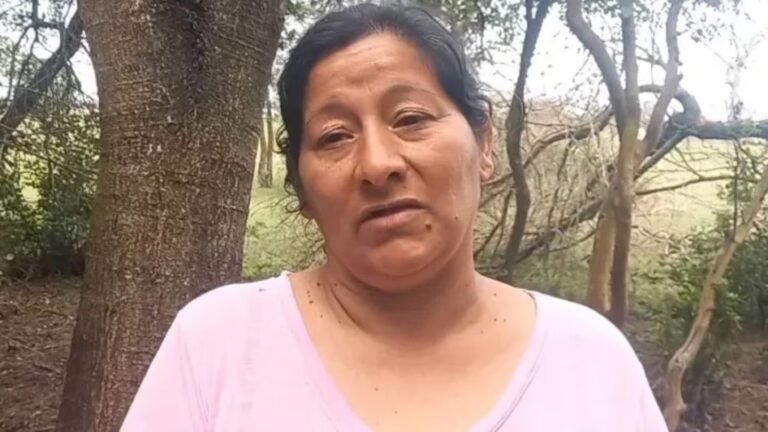 Tras ser detenida, Laudelina Peña le pidió a la jueza que garantice la protección de sus hijos