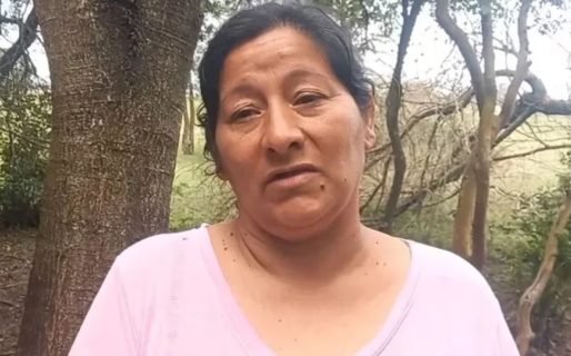 Citan a Laudelina como imputada por la desaparición de Loan y será indagada por los fiscales