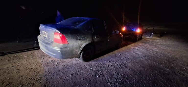 Transportaba carne de ñandú en su vehículo