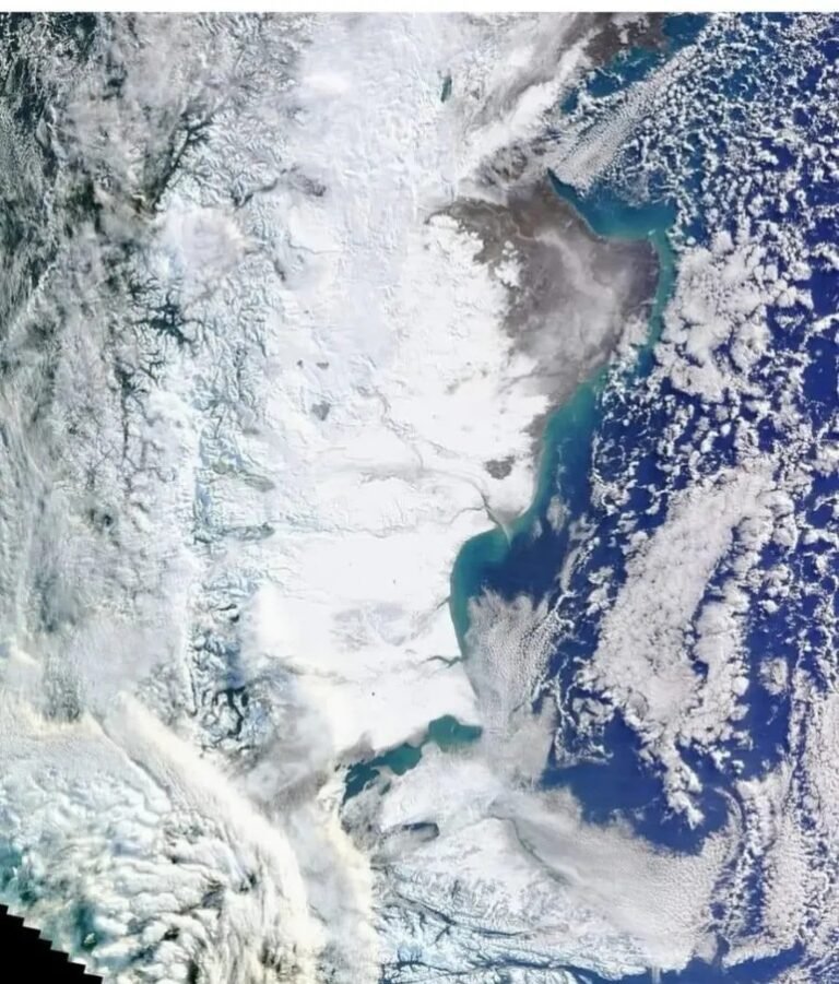 Foto de la NASA muestra a la Patagonia cubierta de nieve