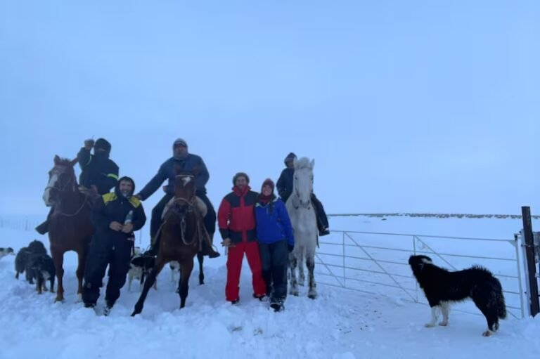 Salvó a 9000 ovejas en medio del temporal de nieve: “Mi padre me enseñó”