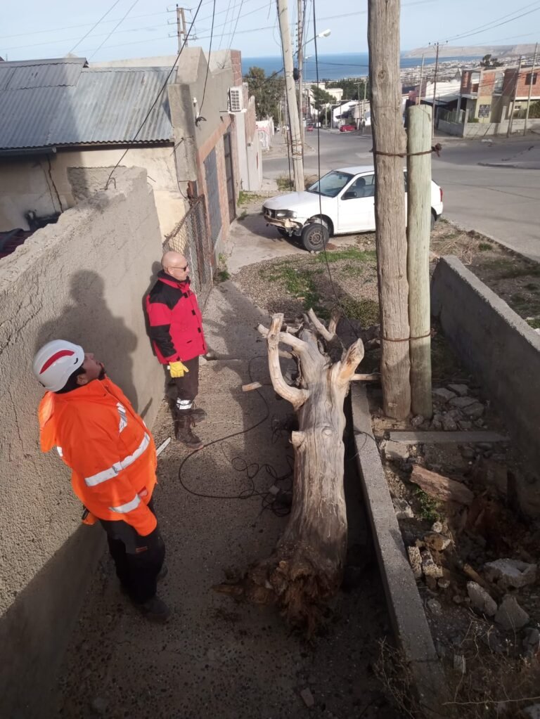 Defensa Civil reforzará las guardias ante alerta meteorológica por ráfagas superiores a 120 km/h