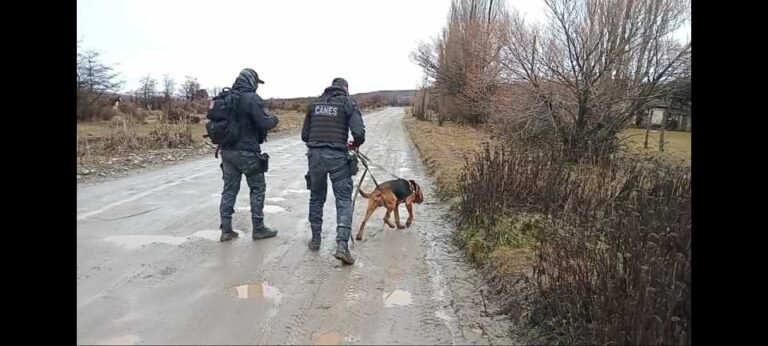 Asesinato en Río Pico: En un allanamiento encontraron el arma homicida