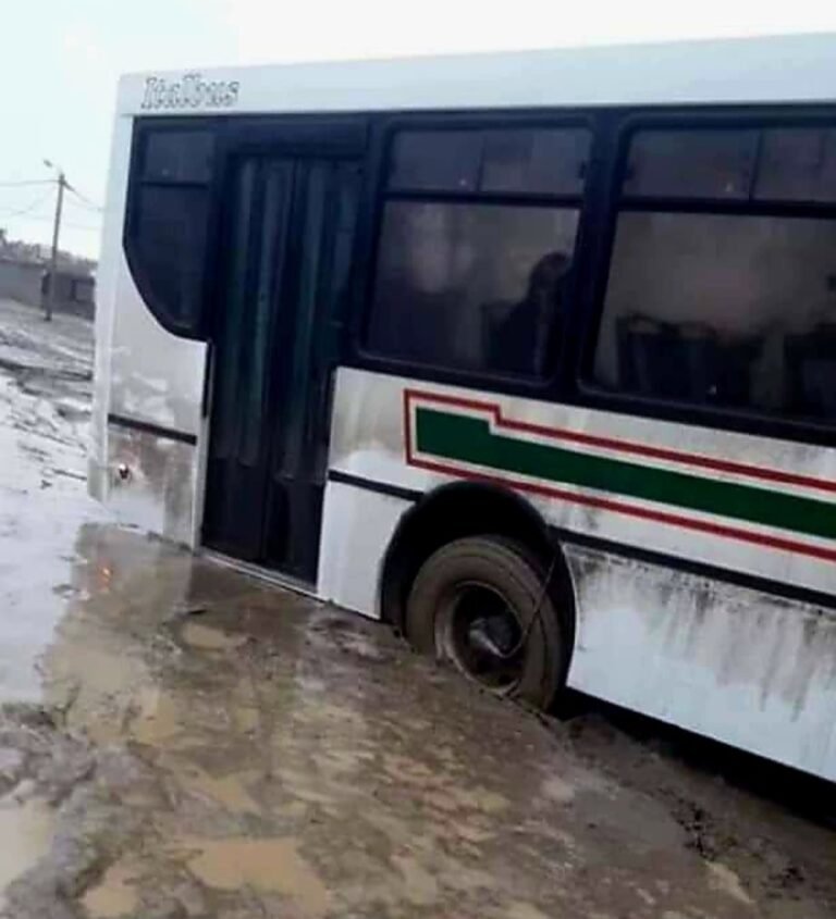 Todas las lineas menos la 1 se encuentran suspendidas