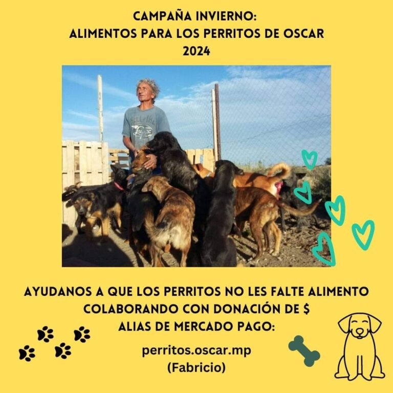 Piden ayuda para Oscar, un hombre que rescató a más de 35 perros callejeros