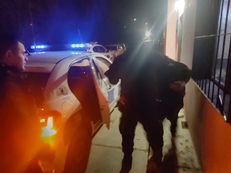 Dañó un auto, le robó la batería y cuando la policía lo atrapó dijo que “era de su tío”