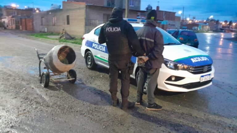 Dos hermanos robaron una hormigonera de un patio, la dueña los vio y los atraparon
