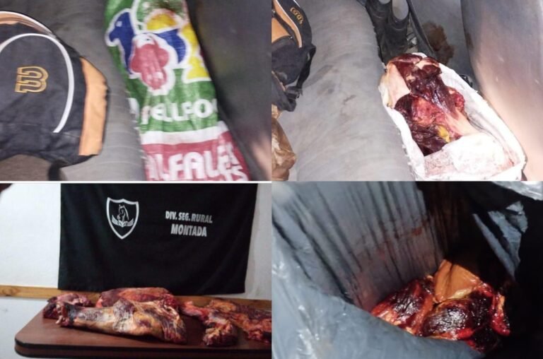 Llevaban una gran cantidad de carne faenada en el auto y se la decomisaron 