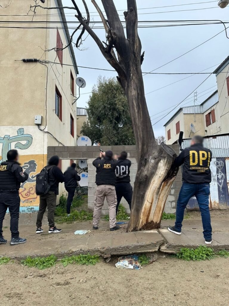 En nueve allanamientos simultáneos la Policía  secuestró siete armas de fuego