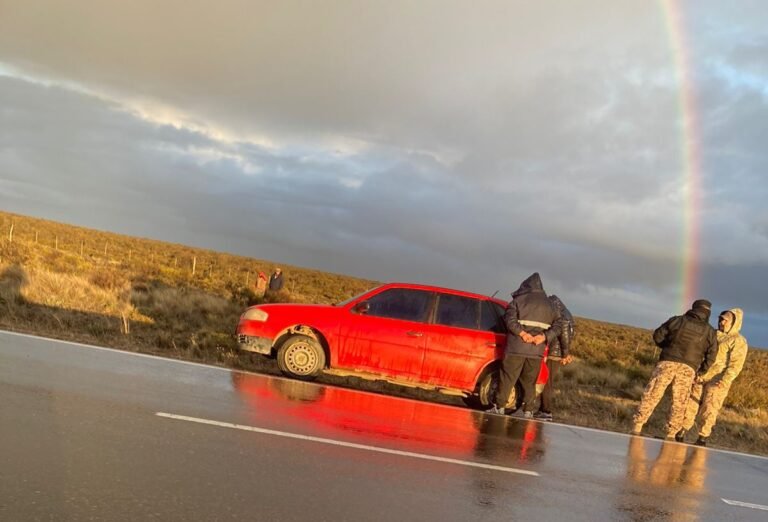 Intentaban robar ovejas de una estancia con un perro y un hombre los atrapó