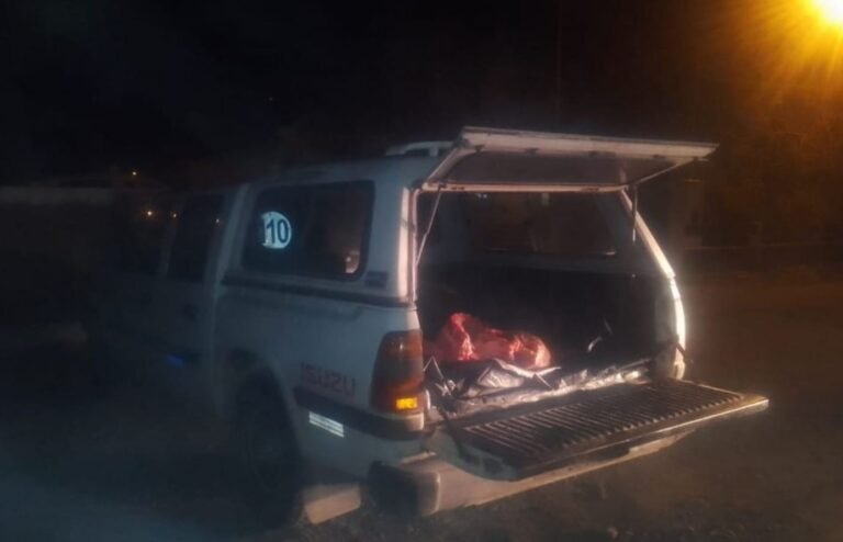 Llevaba carne en la caja de la camioneta pero lo pararon en un control y se la decomisaron