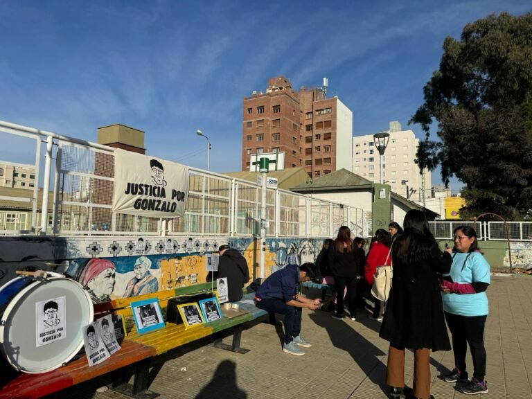 “Desde lo penal me dijeron que no se puede hacer nada porque el que mató a mi hijo es inimputable”