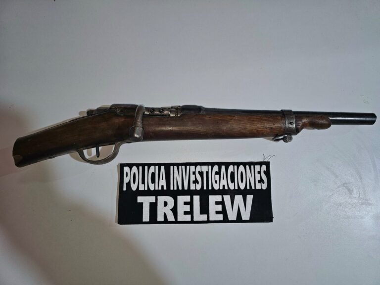 Realizaron 14 allanamientos y secuestraron tres armas de fuego