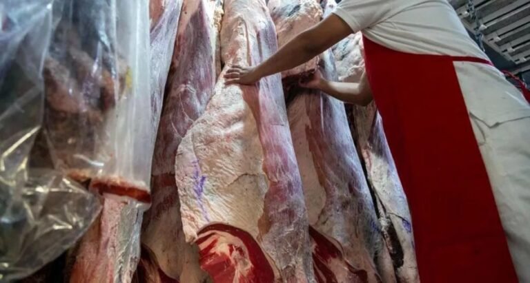Vendían carne de manera clandestina y deberán pagar una multa de 800 mil pesos