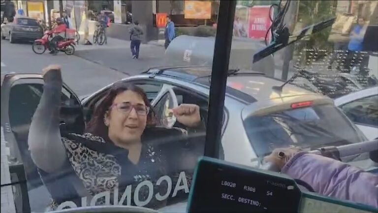 Una mujer le reventó el vidrio a un colectivero tras un choque