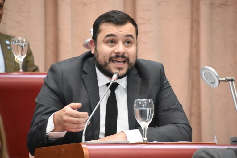 Emanuel Fernández cruzó al kirchnerismo: “Se oponen a cualquier herramienta de cambio en Chubut”