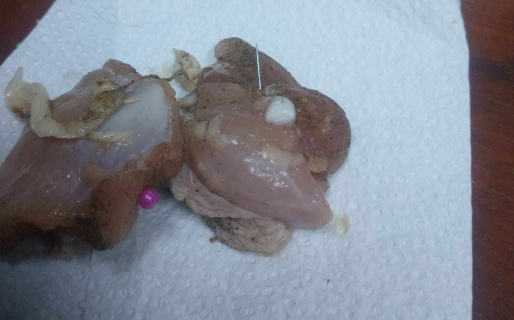 Vecinos denuncian que tiran comida con clavos y alfileres para matar perros