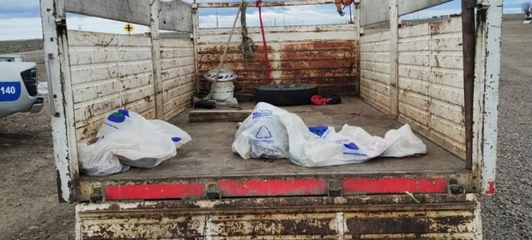 La Policía demoró al conductor de una camioneta por caza ilegal