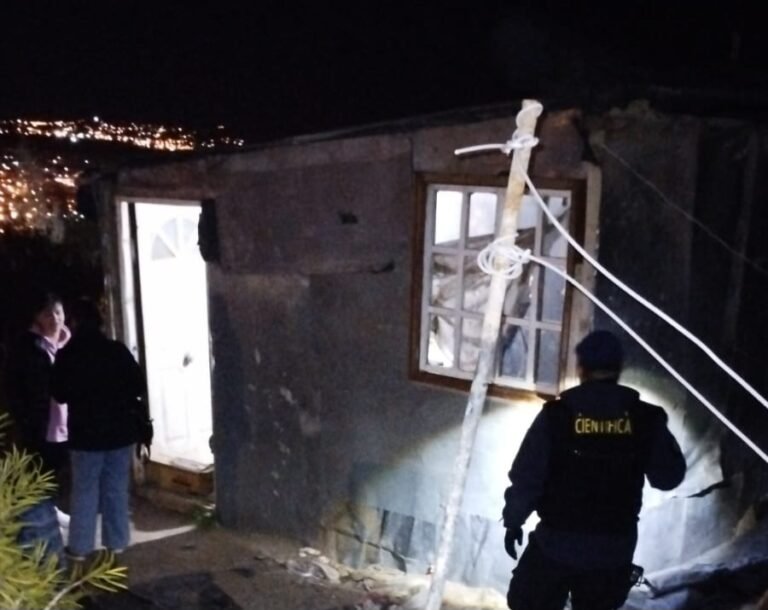 “Detuvimos al presunto autor del homicidio tras una exhaustiva tarea y con datos que aportó una persona”