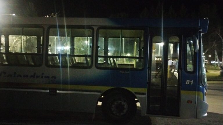 Dos jóvenes dañaron un colectivo en la ruta y golpearon brutalmente a un pasajero