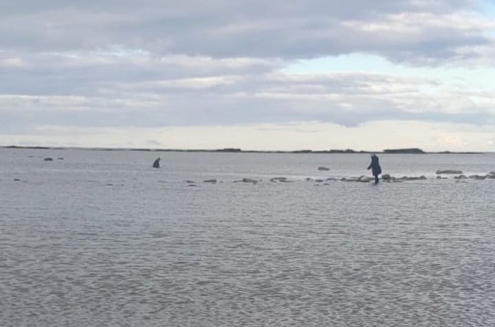 Buscaban lombrices para pescar, subió la marea y el mar los atrapó