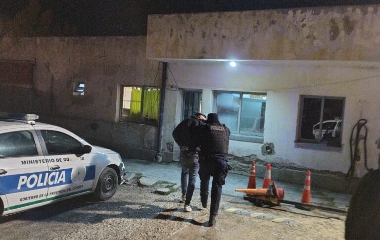 Rompió el vidrio de un auto para robar un estéreo y una mochila con elementos de estudio