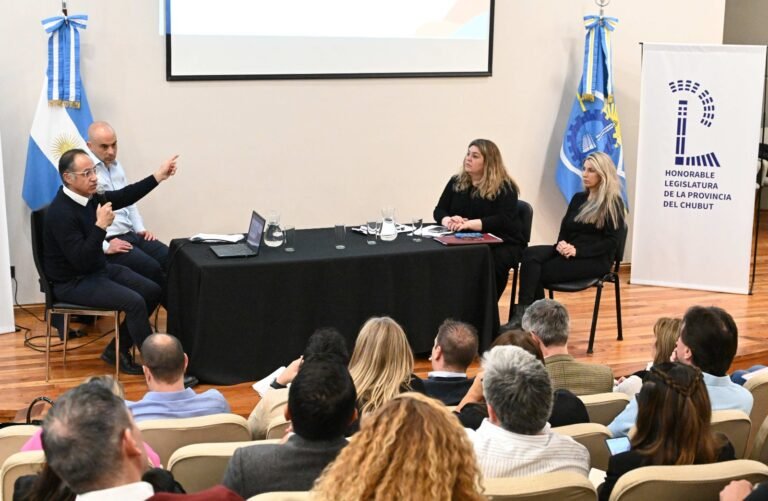 El Gobierno explicó en la Legislatura los objetivos del proyecto que busca crear el Sistema Integrado de Salud