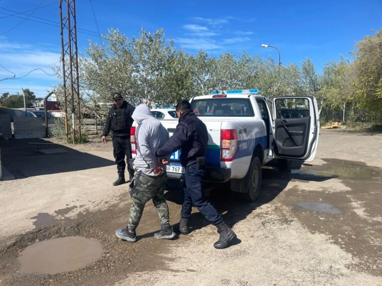 Con un palo atacó a un peatón para robarle