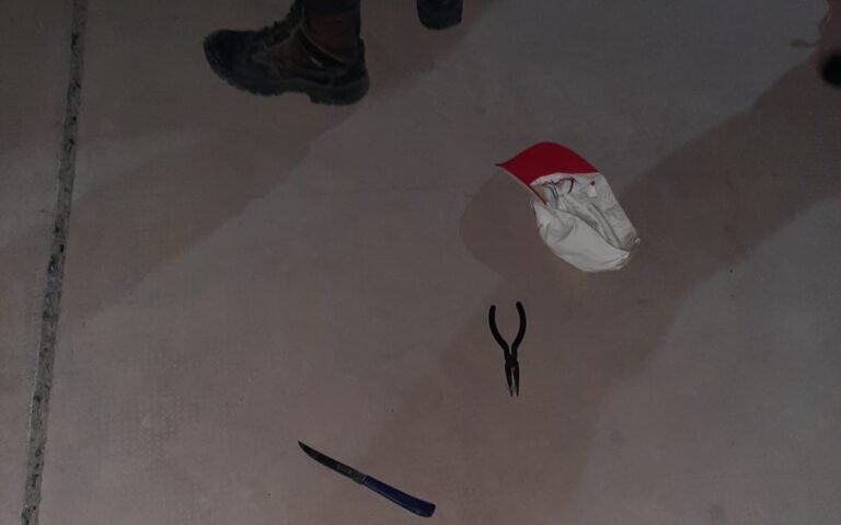 Dos sujetos se treparon a un poste de luz para robar cables y los atraparon