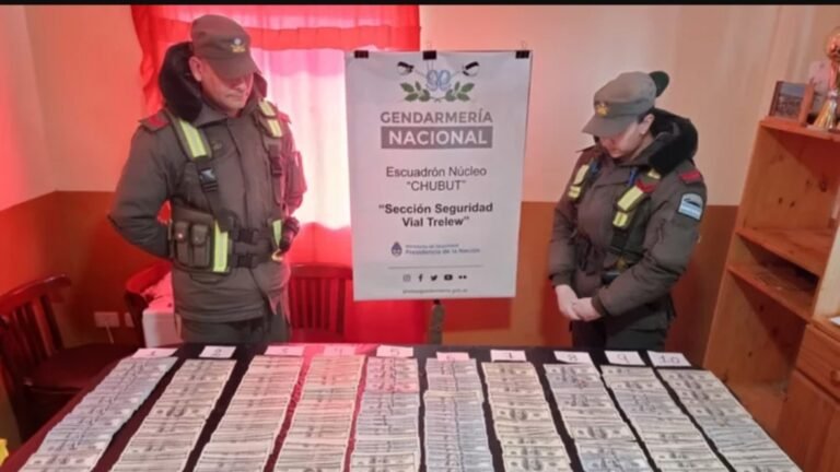 Gendarmería secuestró dólares durante un control en Ruta 3