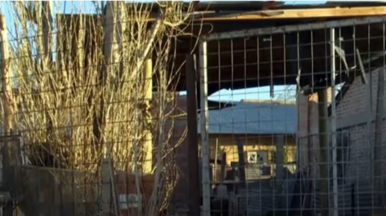 Una joven denunció que su pareja la golpeó, torturó y abusó de ella: la rescataron los vecinos