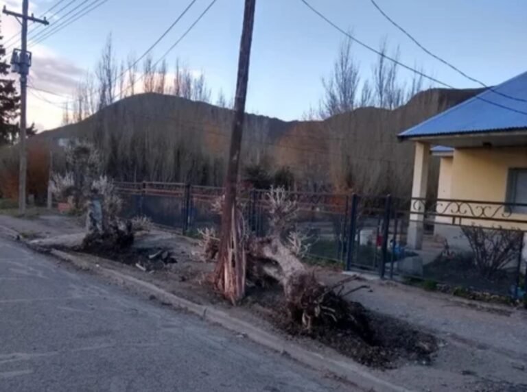 Camionero en estado de ebriedad chocó y dejó sin electricidad a todo un pueblo