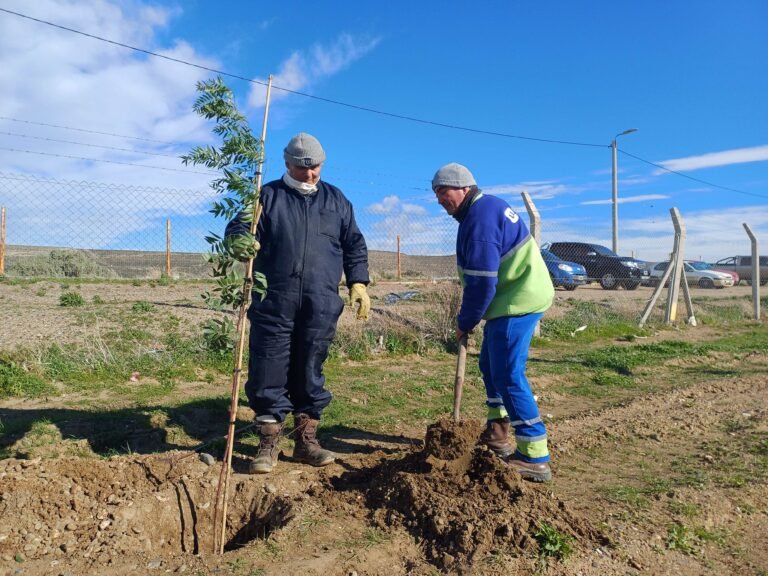 Urbana inició con su plan de arbolado en el Parque Ambiental