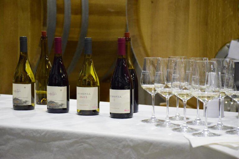 Orgullo sarmientino: La bodega de Alejandro Bulgheroni nominada a los prestigiosos Wine Star Awards