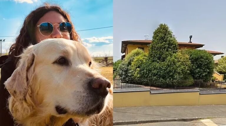 Se conocieron detalles del momento en el que un perro encontró los cuerpos de dos bebés en el patio de su casa