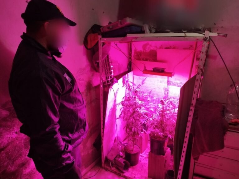 Detuvieron a dos hombres que se dedicaban a la venta de cocaína y marihuana