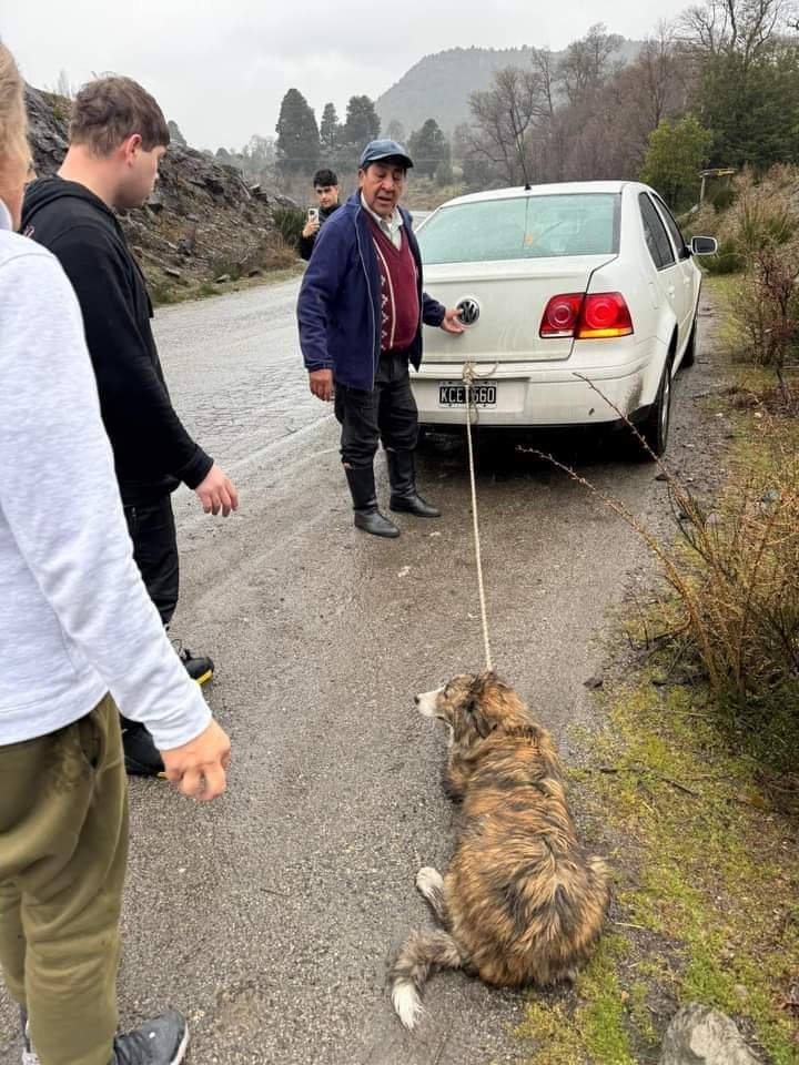 Crueldad extrema: un hombre arrastraba a su perro atado al auto por la Ruta 40