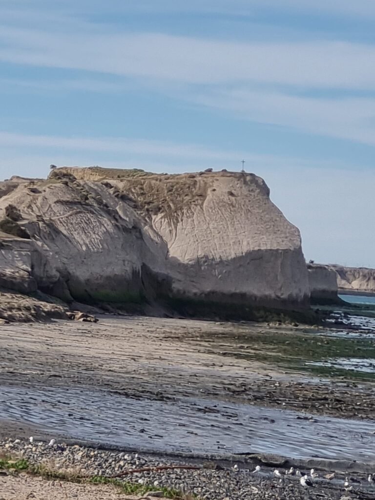 La Justicia busca determinar quién tiró a los 8 cachorritos desde un acantilado