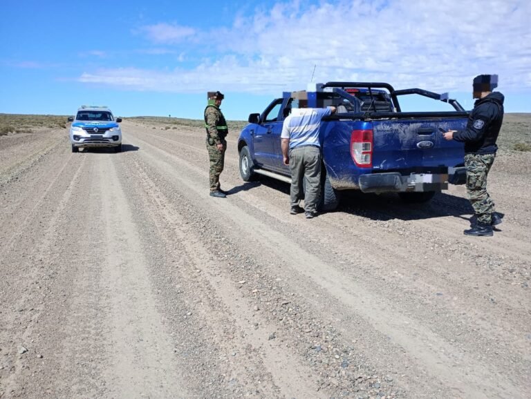 Llevaba cinco guanacos muertos en la caja de la camioneta y un fusil