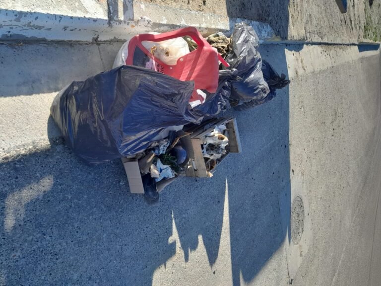  Tiraron basura detrás de una vecinal y los escracharon en redes sociales