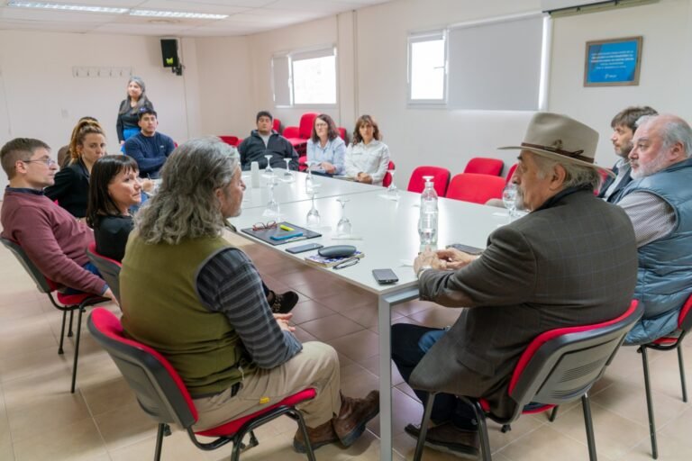 Comodoro avanza con un plan de desarrollo de olivos