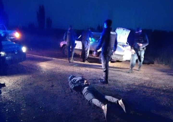 Golpearon a la policía y descubrieron que llevaban dos ovejas en el baúl del auto  