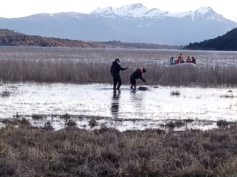 Una mujer volcó con su kayak en un lago y no la encuentran