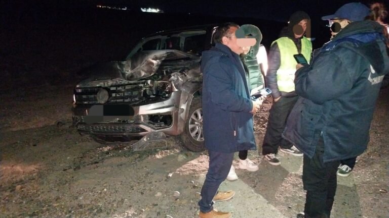 Chocaron contra un guanaco y la camioneta quedó destruida