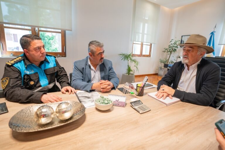 Reacondicionarán el depósito de la Policía en km.18 para depositar los autos secuestrados