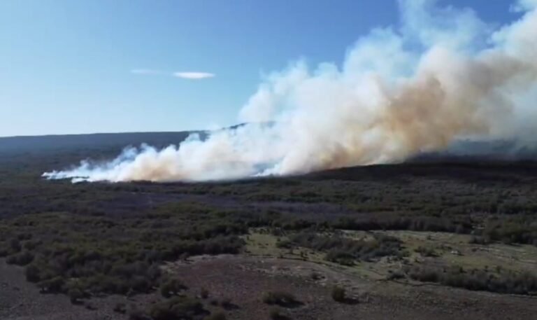 Ya son 22 las hectáreas afectadas por el incendio forestal en la zona de Río Pico